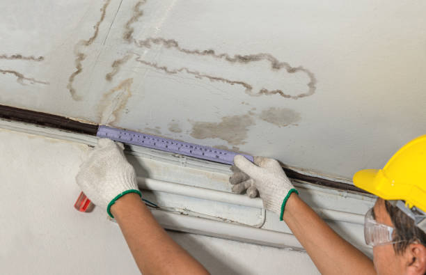 Affordable Water Damage Repair solutions in Swartz Creek, MI